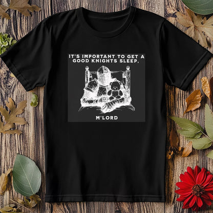 Important to Get a Sword! T-shirt