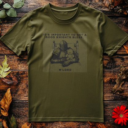 Important to Get a Sword! T-shirt